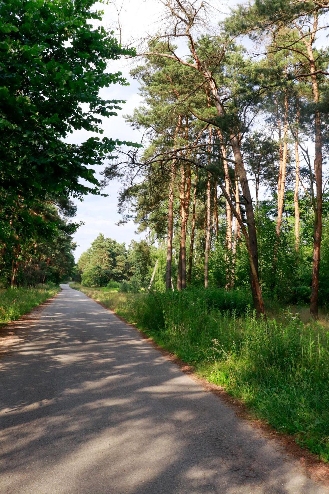 Agroturystyka U Koziolka Dlugowola Exterior foto
